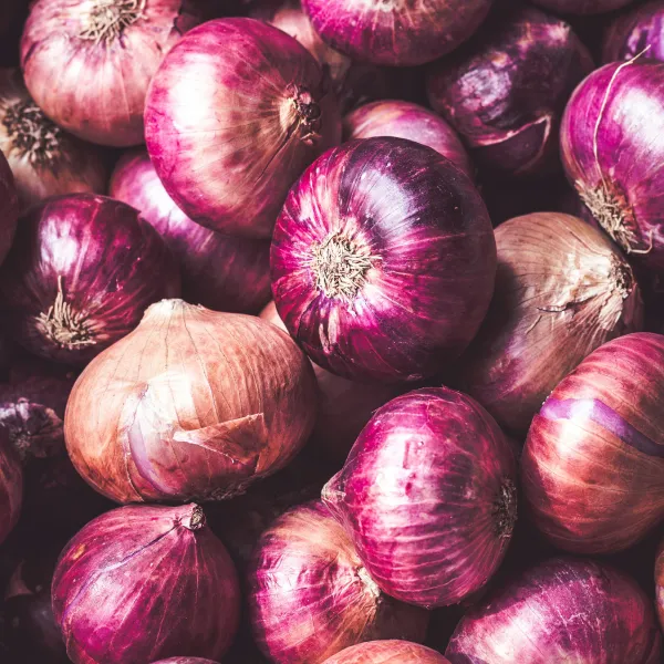 Cebolla